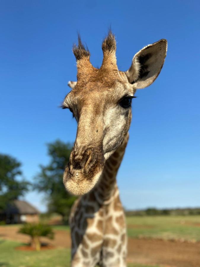 Morakane Safari Lodge Vryburg Eksteriør bilde